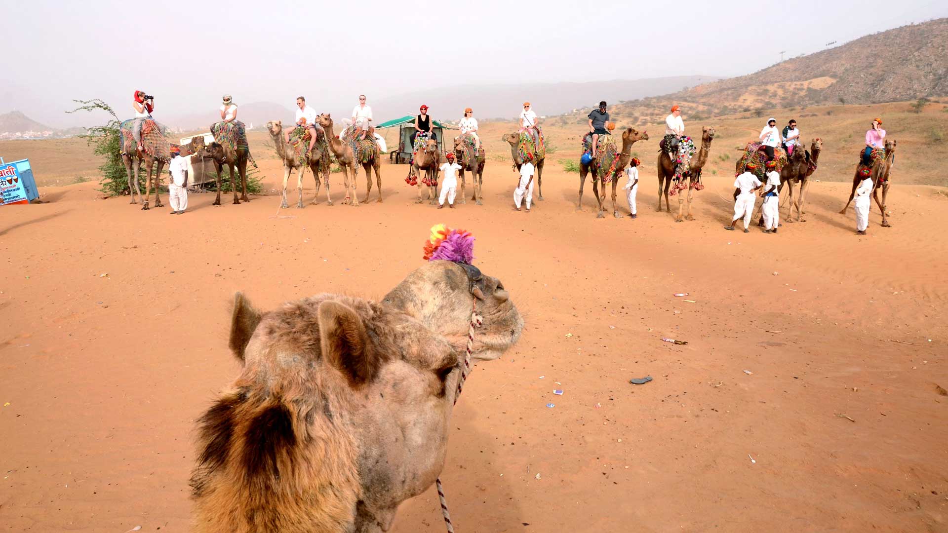 Image result for Camel Safari in Rajasthan