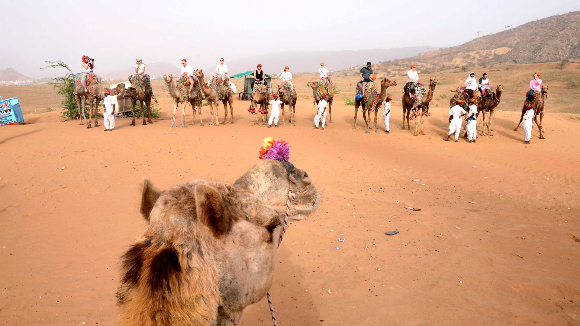 Sunset camel Safari Pushkar, Sunrise camel Safari Pushkar, Half day camel Safari Pushkar, Full day camel Safari Pushkar,Swiss tent pushkar,tent in pushkar,pushkar fair camp,desert camp pushkar,desert safari pushkar