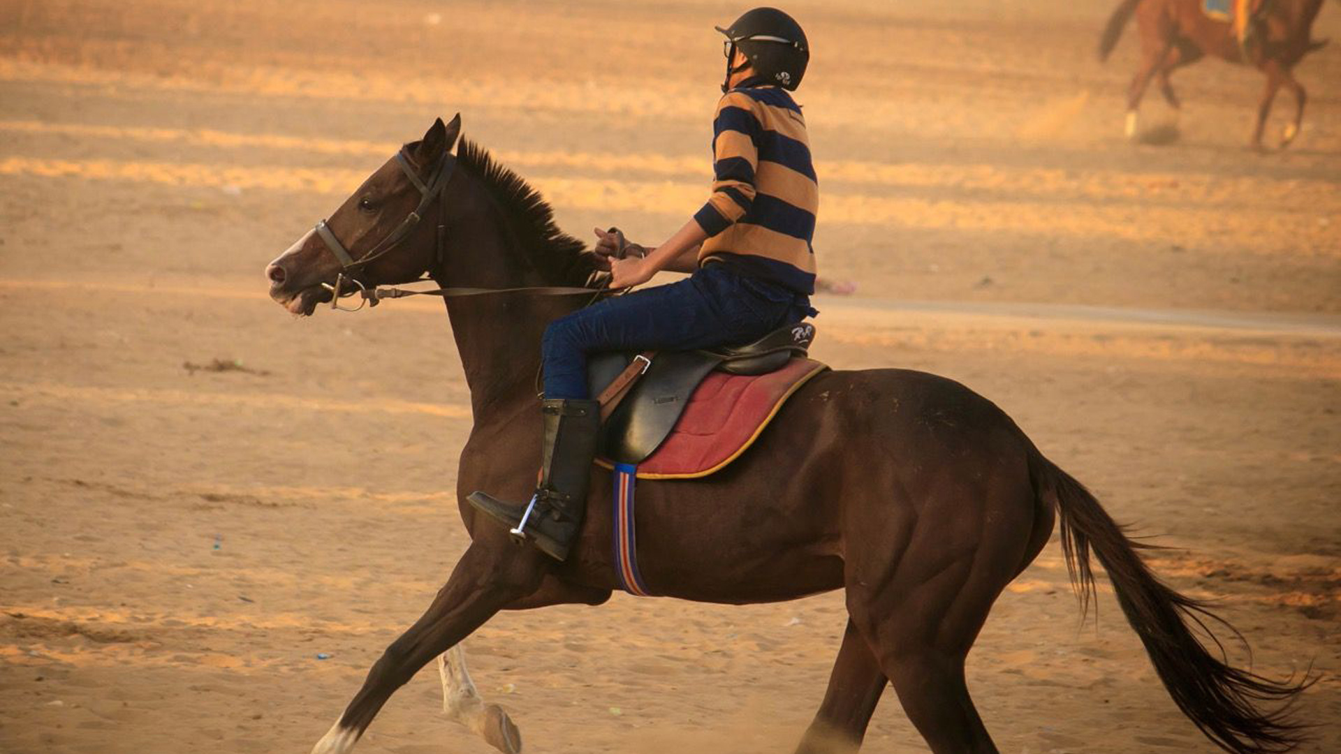 Sunset camel Safari Pushkar, Sunrise camel Safari Pushkar, Half day camel Safari Pushkar, Full day camel Safari Pushkar,Swiss tent pushkar,tent in pushkar,pushkar fair camp,desert camp pushkar,desert safari pushkar