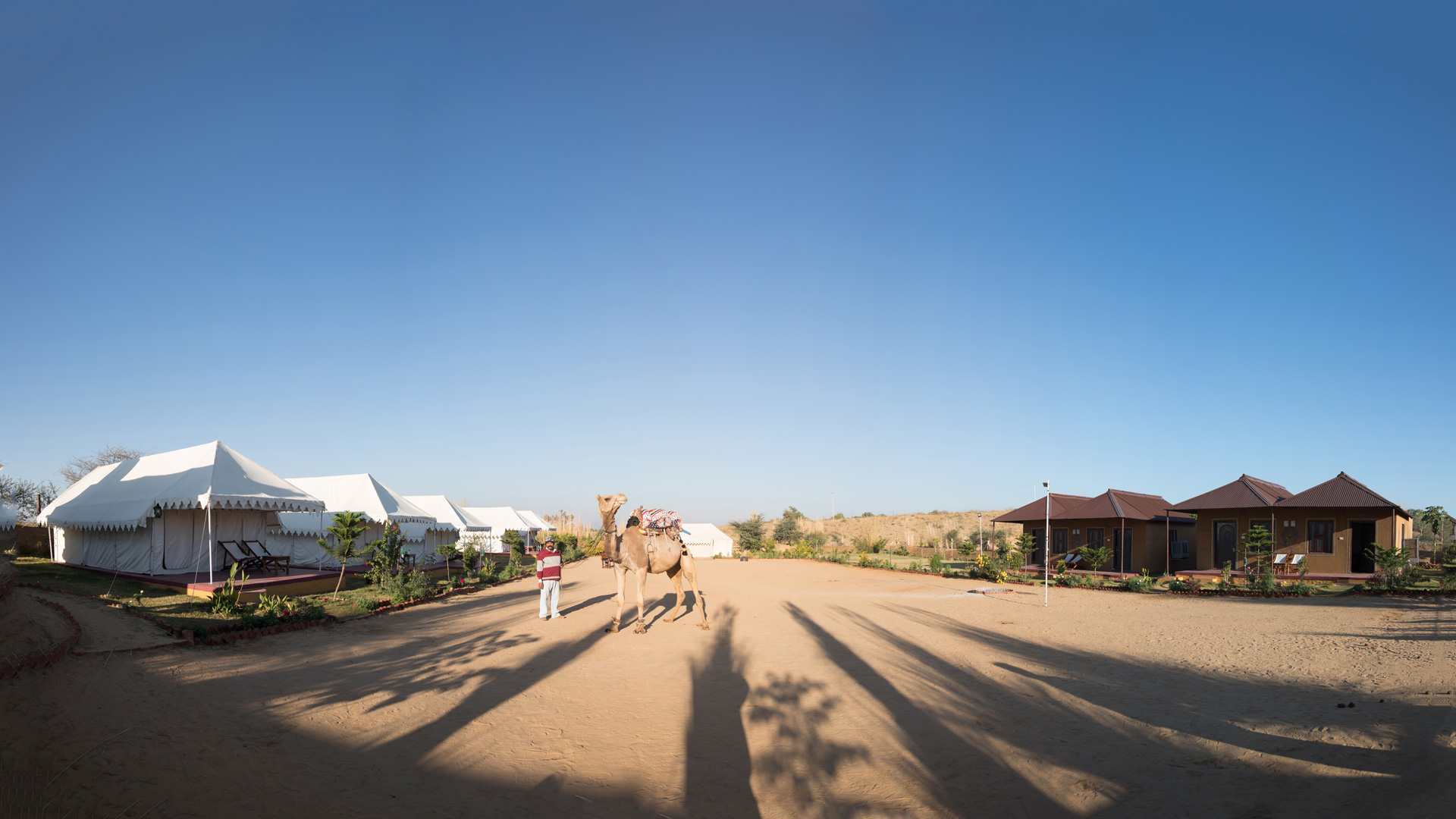 Sunset camel Safari Pushkar, Sunrise camel Safari Pushkar, Half day camel Safari Pushkar, Full day camel Safari Pushkar,Swiss tent pushkar,tent in pushkar,pushkar fair camp,desert camp pushkar,desert safari pushkar