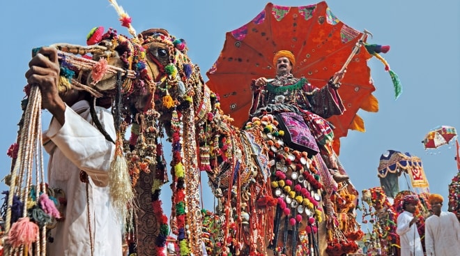 Sunset camel Safari Pushkar, Sunrise camel Safari Pushkar, Half day camel Safari Pushkar, Full day camel Safari Pushkar,Swiss tent pushkar,tent in pushkar,pushkar fair camp,desert camp pushkar,desert safari pushkar