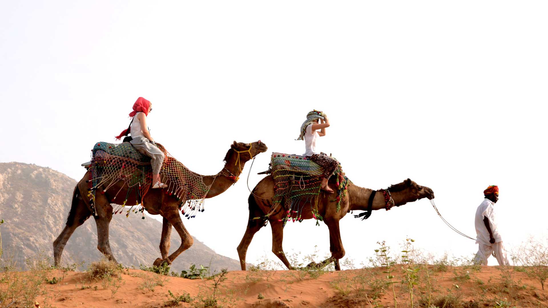 Sunset camel Safari Pushkar, Sunrise camel Safari Pushkar, Half day camel Safari Pushkar, Full day camel Safari Pushkar,Swiss tent pushkar,tent in pushkar,pushkar fair camp,desert camp pushkar,desert safari pushkar