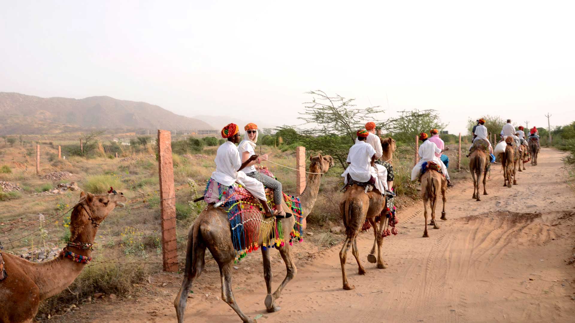 Sunset camel Safari Pushkar, Sunrise camel Safari Pushkar, Half day camel Safari Pushkar, Full day camel Safari Pushkar,Swiss tent pushkar,tent in pushkar,pushkar fair camp,desert camp pushkar,desert safari pushkar