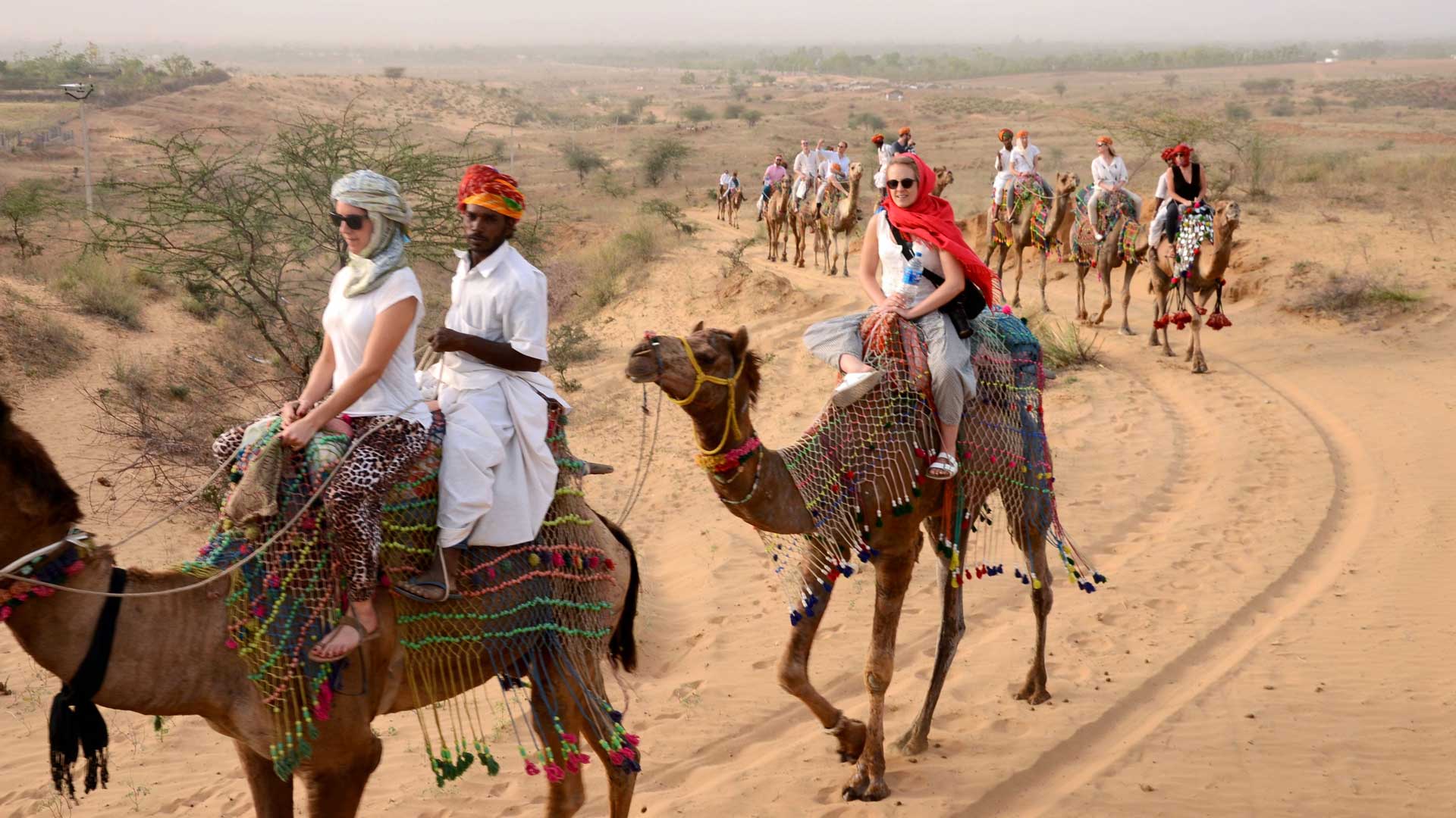 safari desert pushkar